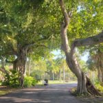 Crandon Park Gardens Miami, FL